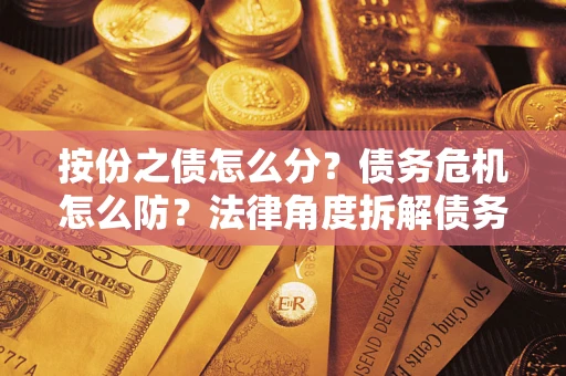 武汉按份之债怎么分？债务危机怎么防？法律角度拆解债务分配与风险自保指南