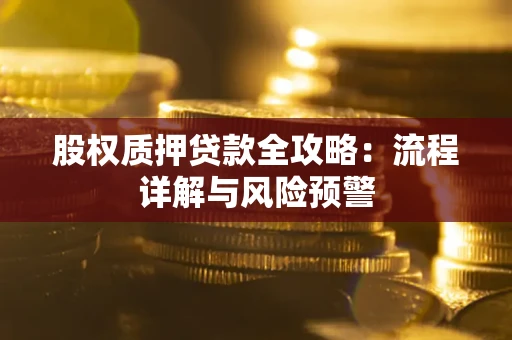 武汉股权质押贷款全攻略：流程详解与风险预警