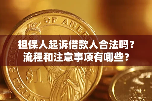 武汉担保人起诉借款人合法吗？流程和注意事项有哪些？