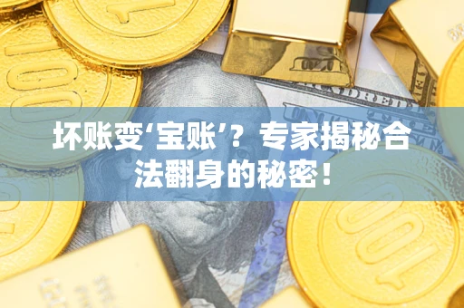 武汉坏账变‘宝账’？专家揭秘合法翻身的秘密！