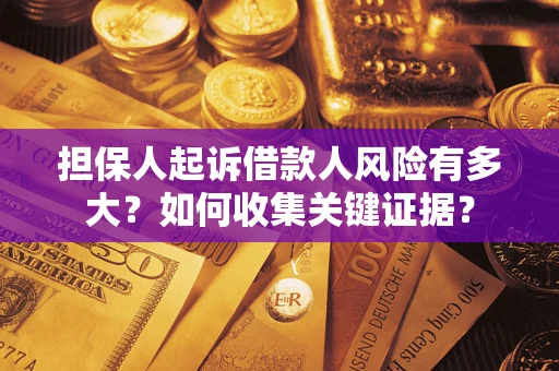 武汉担保人起诉借款人风险有多大？如何收集关键证据？