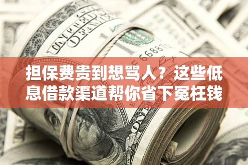 武汉担保费贵到想骂人？这些低息借款渠道帮你省下冤枉钱