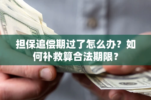 武汉担保追偿期过了怎么办？如何补救算合法期限？