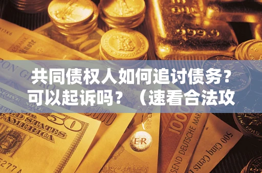 武汉共同债权人如何追讨债务？可以起诉吗？（速看合法攻略）