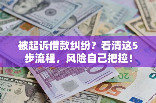 武汉被起诉借款纠纷？看清这5步流程，风险自己把控！