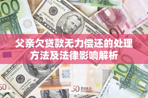 武汉父亲欠贷款无力偿还的处理方法及法律影响解析