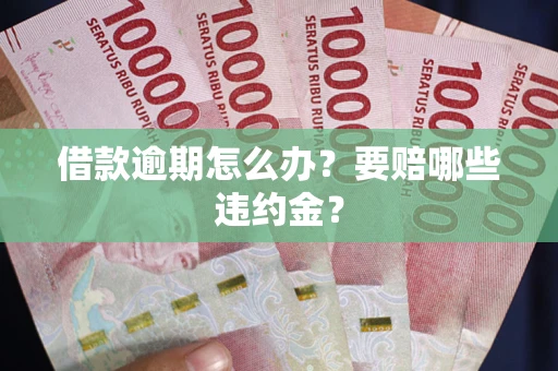武汉借款逾期怎么办？要赔哪些违约金？