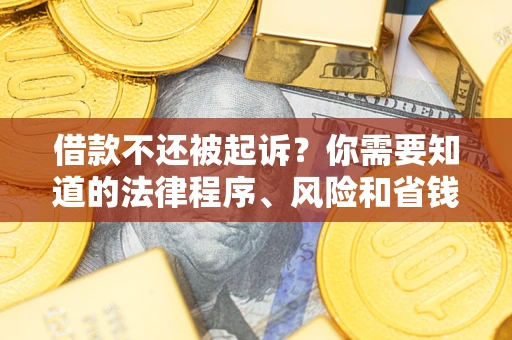 武汉借款不还被起诉？你需要知道的法律程序、风险和省钱技巧